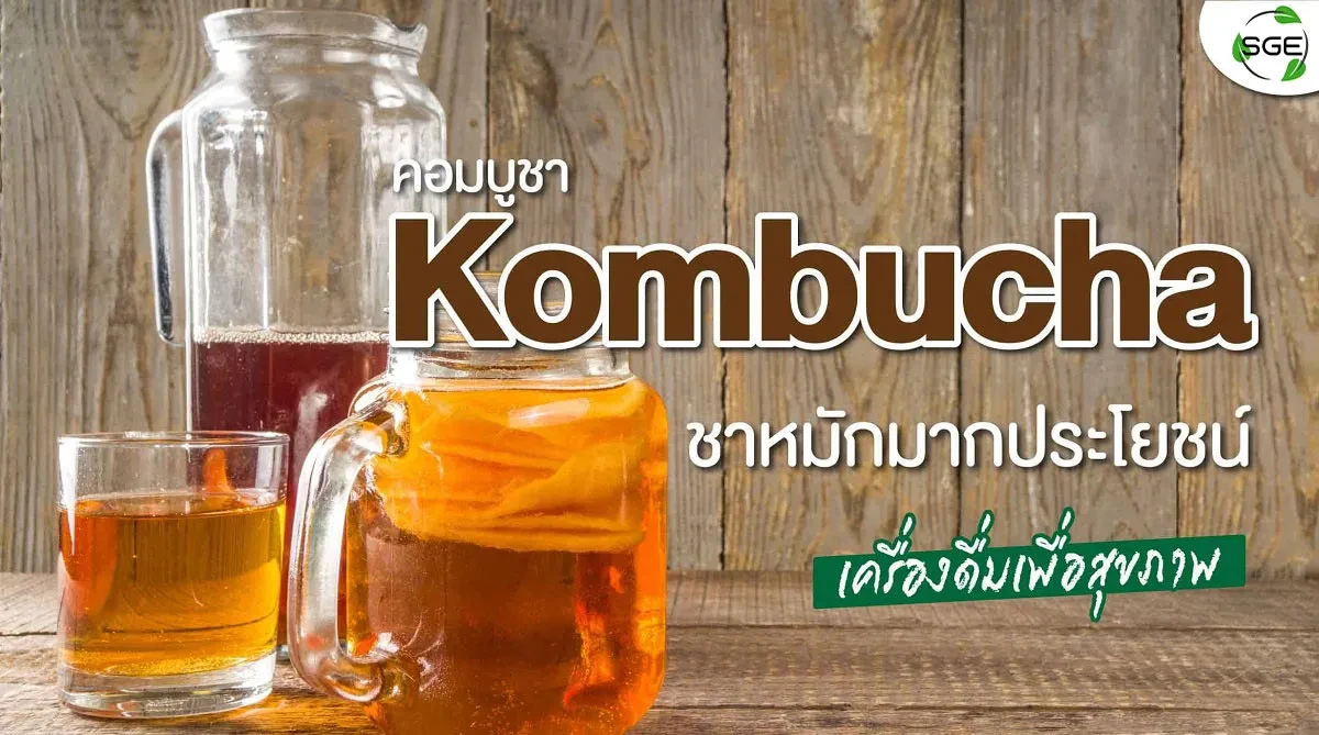 ชาหมัก